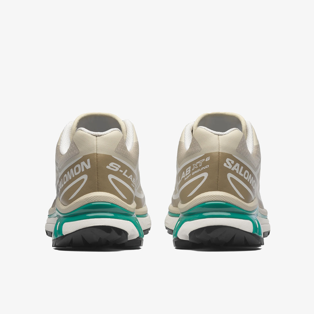 Salomon Xt-6 Rainy Day Chinchilla Dynasty Green L47864300