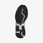 Salomon Xt-6 Rainy Day Chinchilla Dynasty Green L47864300
